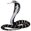 Катушки Cobra