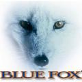 Зимние блесны Blue Fox